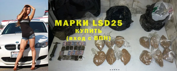 крисы Алексин